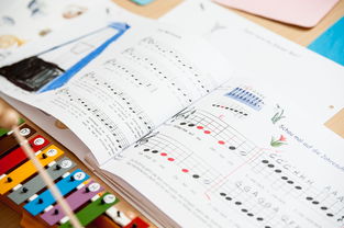 米兰体育官网-中小学体育课安全教育实施现状研究，体育课堂安全背景下的小学体育课现状