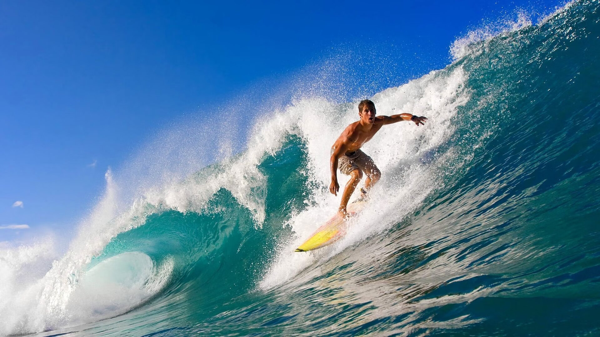 米兰电竞-国际赛事志愿者招募启动,服务队伍迎来检验,赛事志愿者全球招募网络